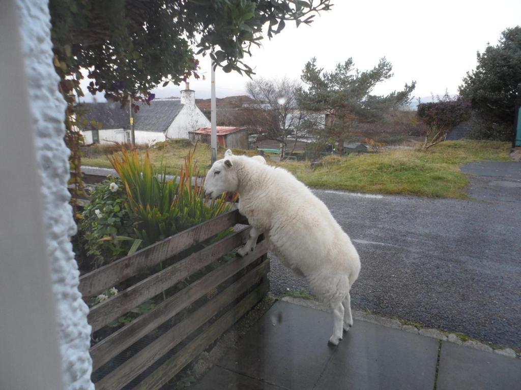 Creag Dubh Bed & Breakfast Kyle of Lochalsh Exterior foto